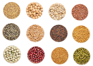 Ensacheuse pour les graines et semences variées